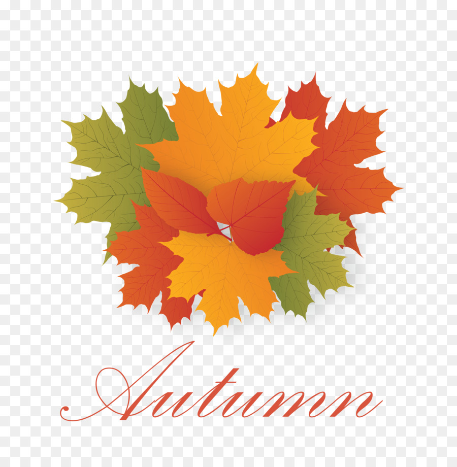 Feuilles D'automne，Automne PNG