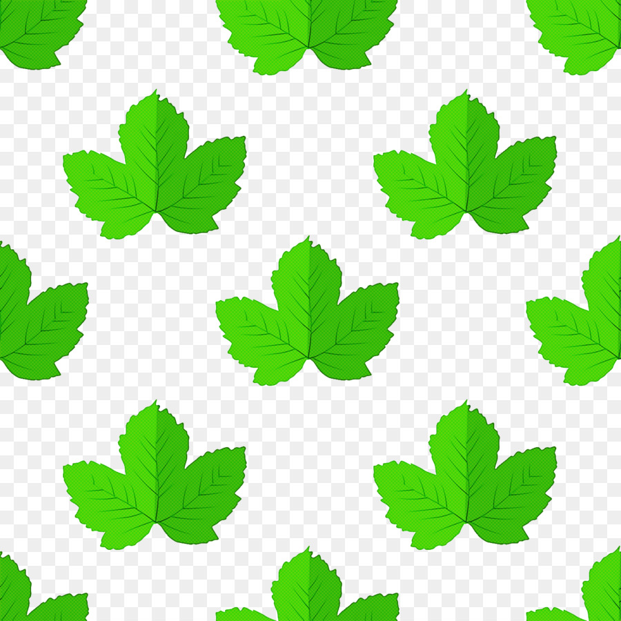 Feuille，Tige De La Plante PNG