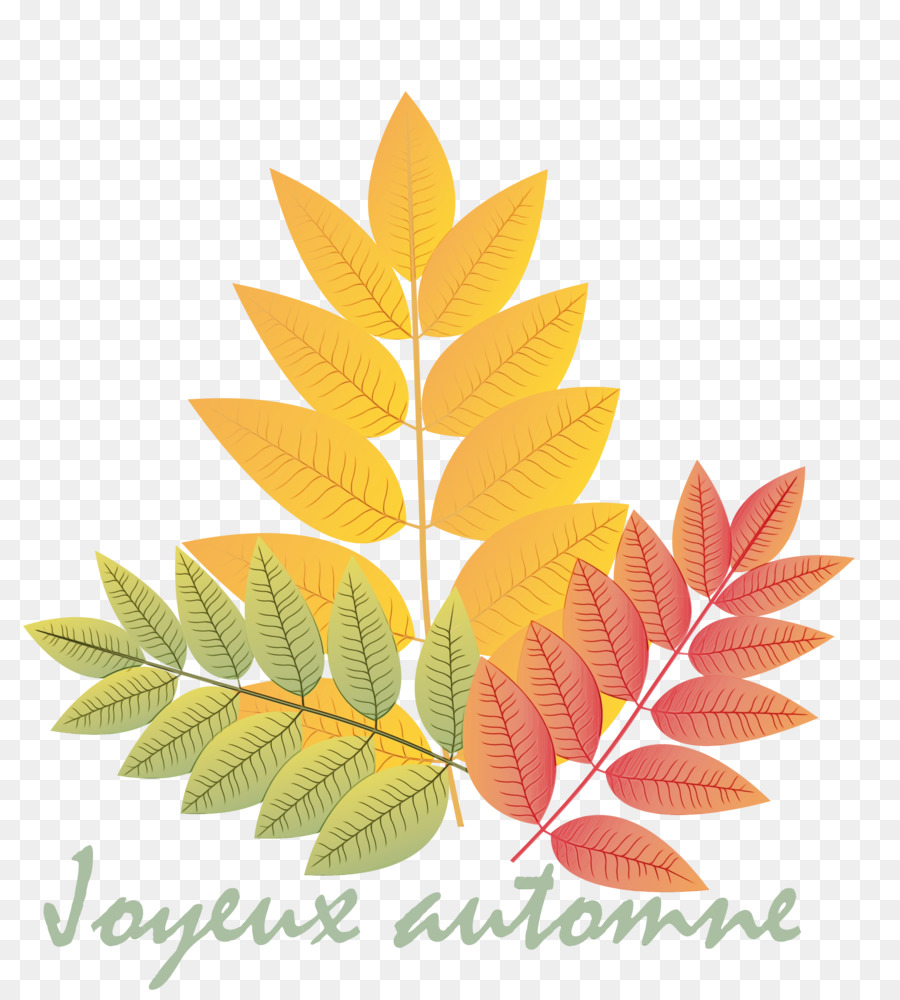 Feuille，Branche PNG