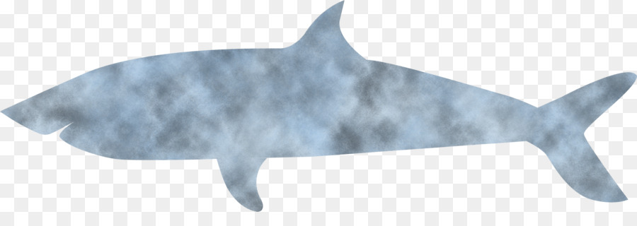 Requiem Sharks，Chat PNG