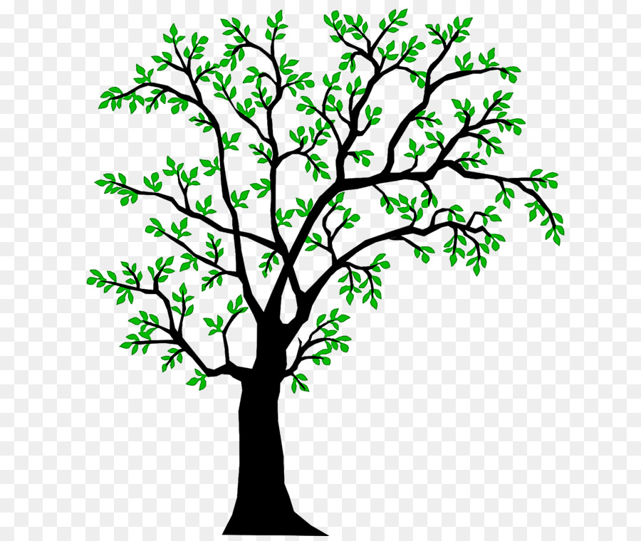 Arbre，Feuilles PNG