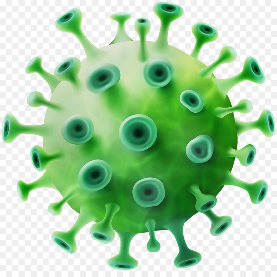 Virus Vert，Bactéries PNG