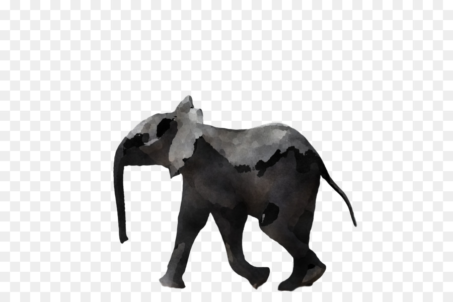 Éléphant，Brun PNG