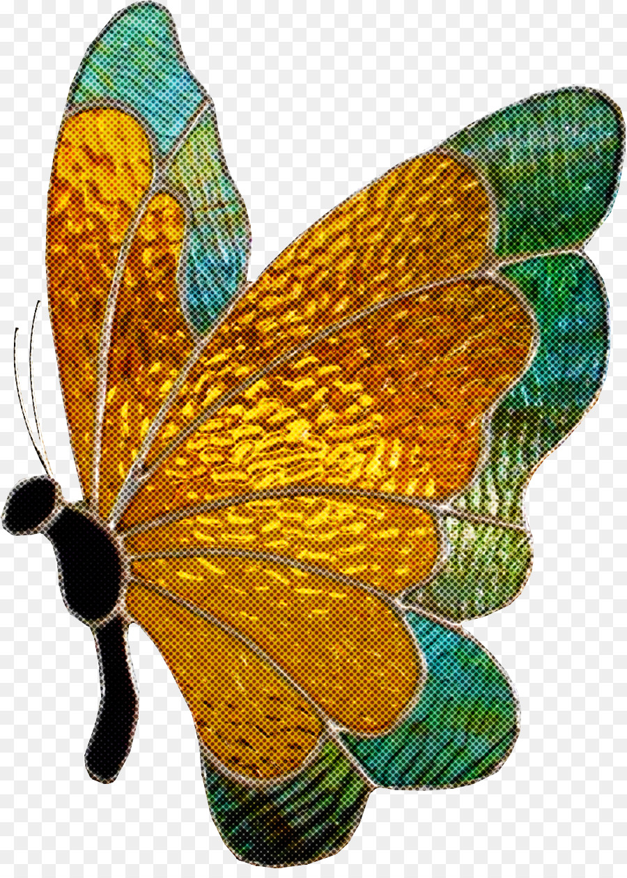 Papillon Monarque，Les Papillons PNG