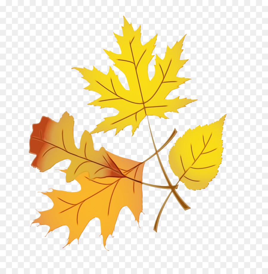 Feuilles D'automne，Automne PNG