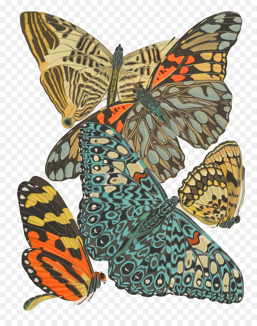 Papillon Monarque，Brosser Les Papillons PNG