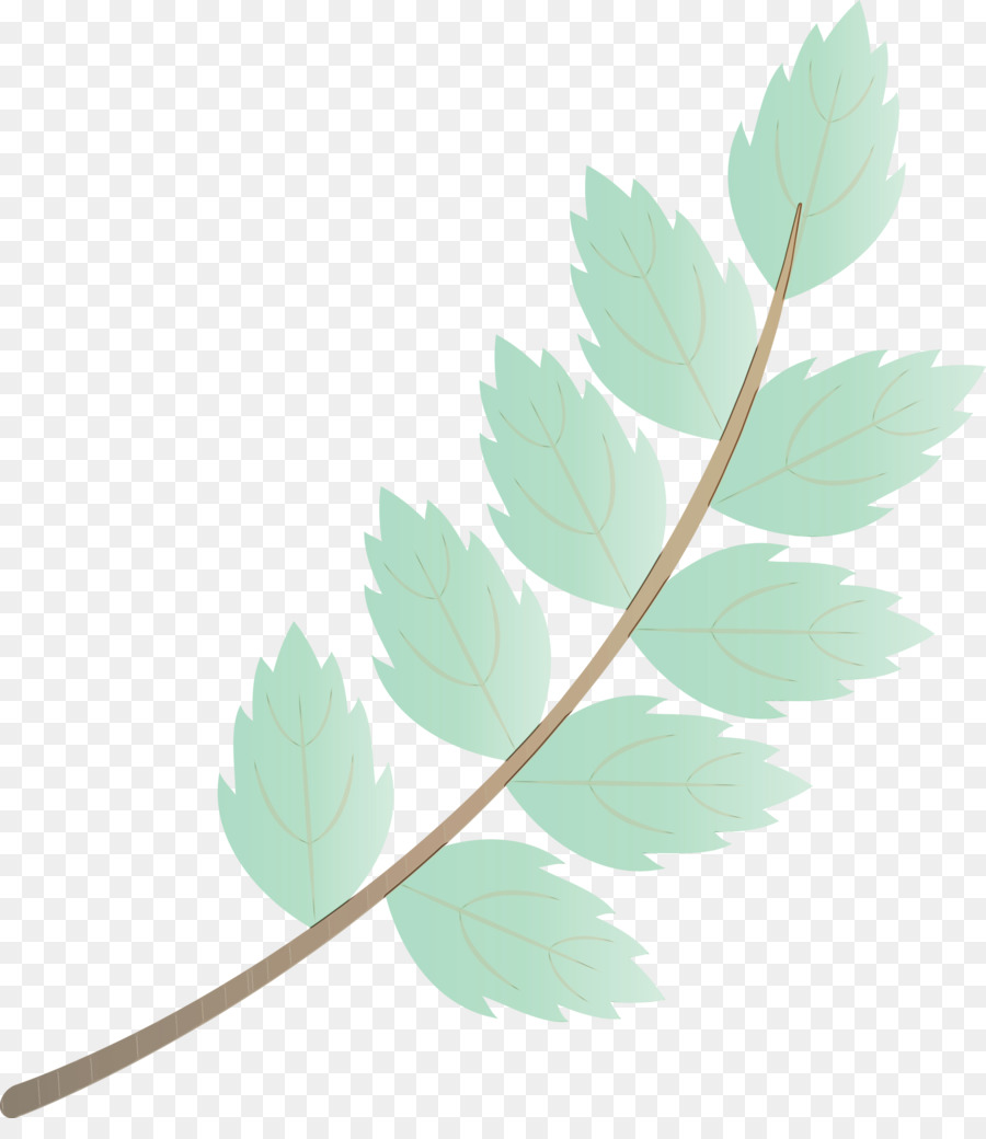 Feuille Verte，Nature PNG