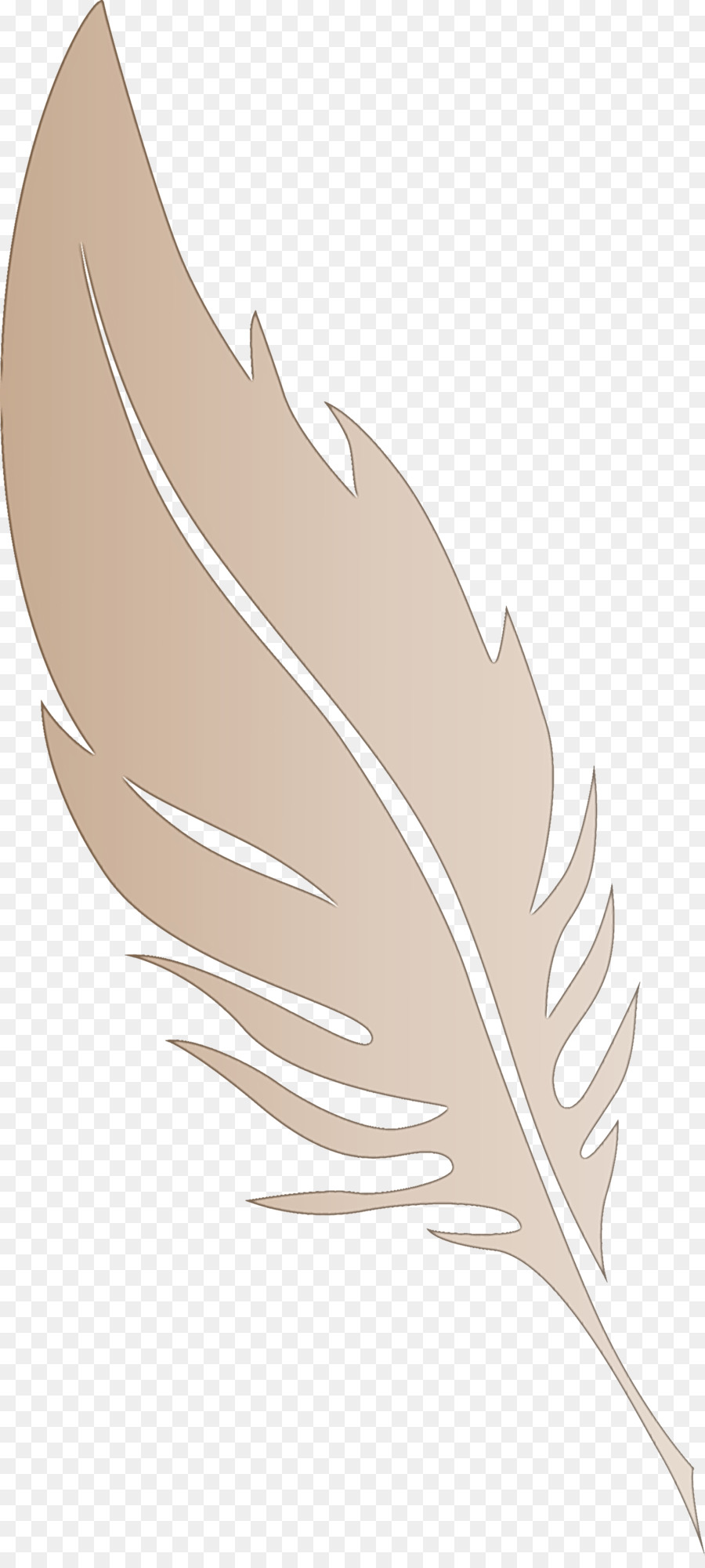 Plume，Feuille PNG