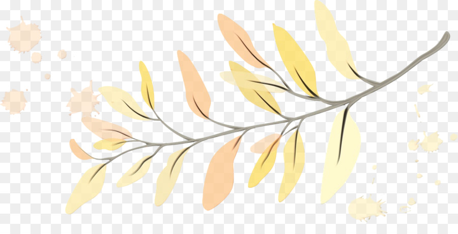 Design Floral，Tige De La Plante PNG