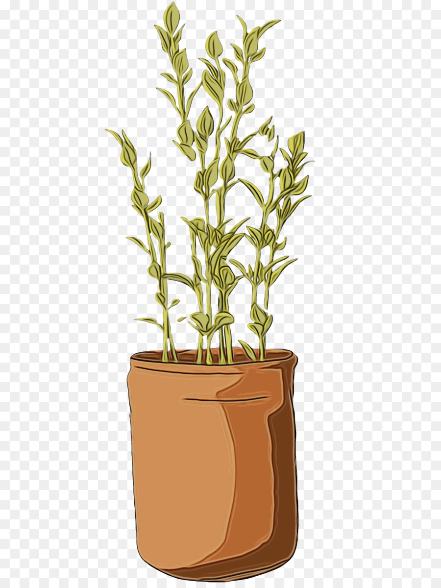 Tige De La Plante，Herbe PNG