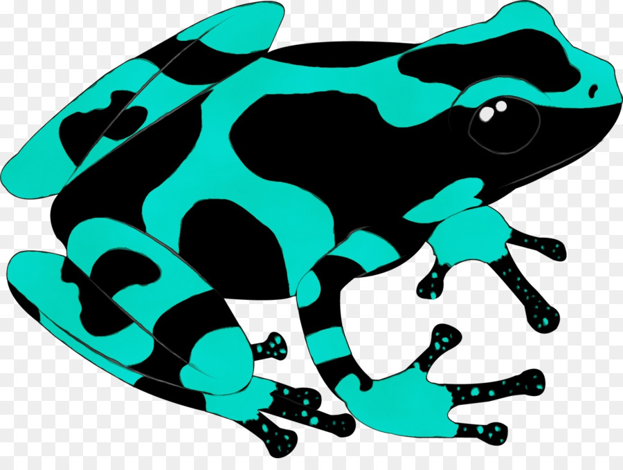 Grenouille Bleue Et Noire，Grenouille PNG