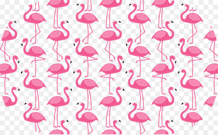 Flamants Roses，Modèle PNG