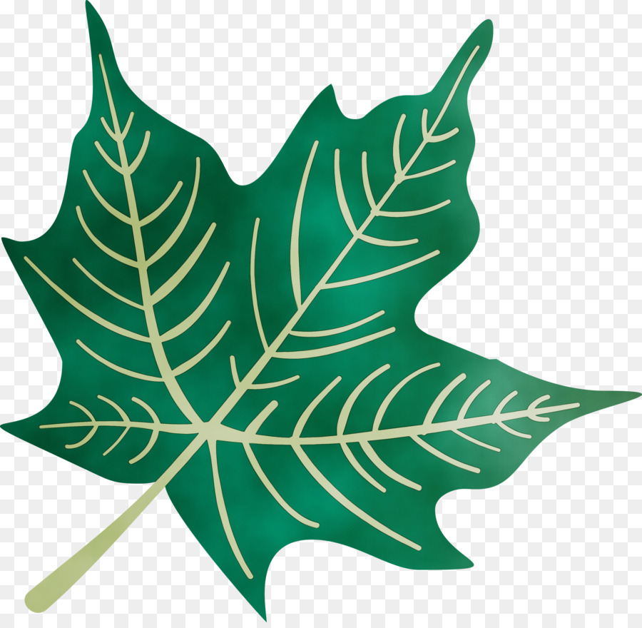 Tige De La Plante，Feuille PNG