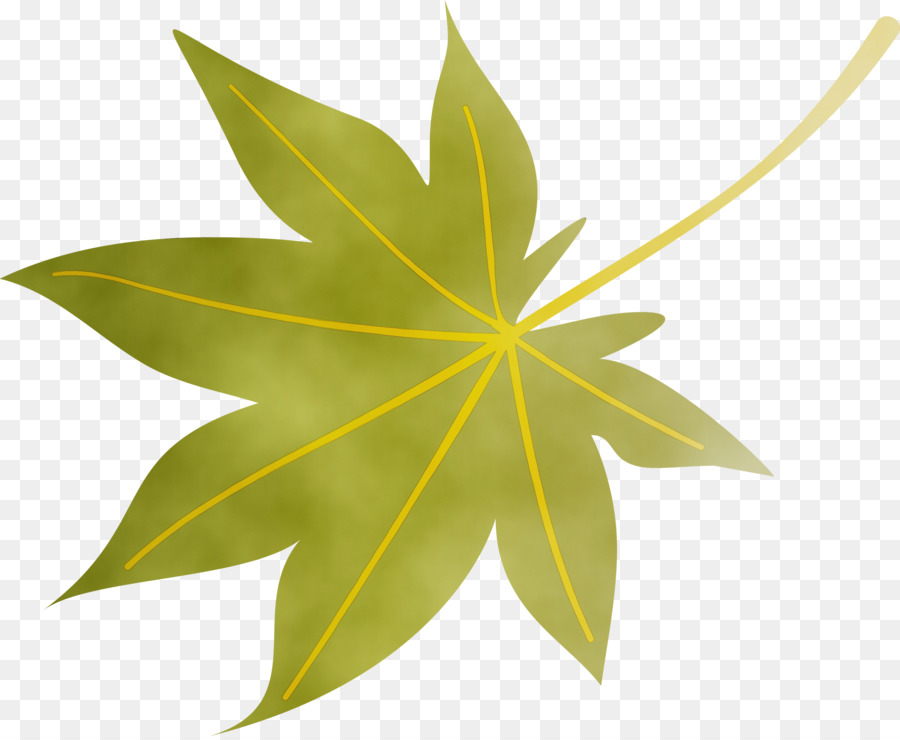 Feuille，Automne PNG