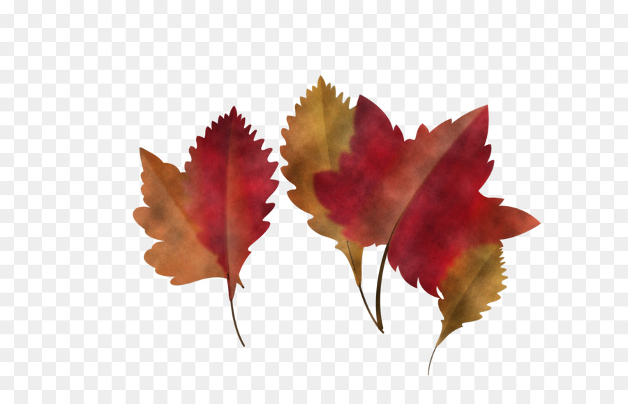 Feuilles Rouges，Automne PNG