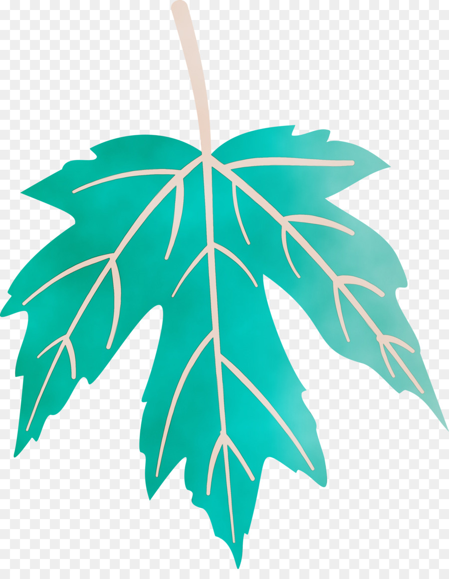 Feuilles Violettes，Botanique PNG