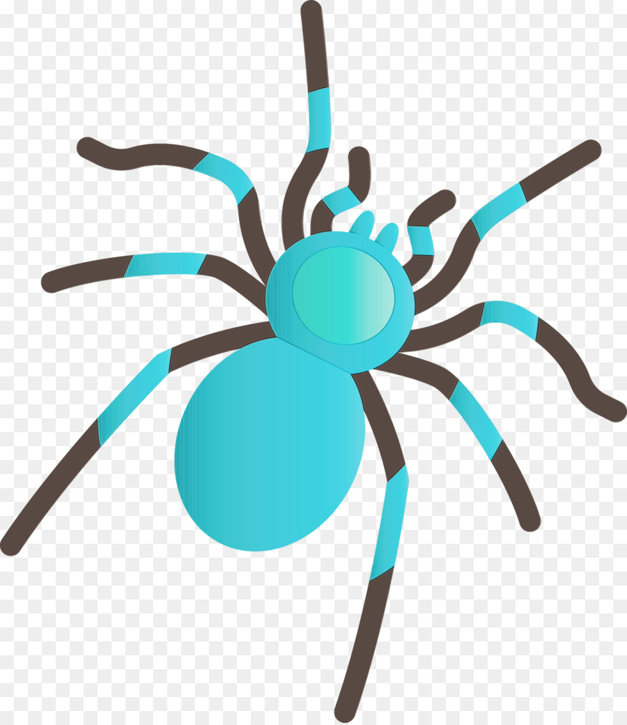 Les Insectes，Turquoise PNG