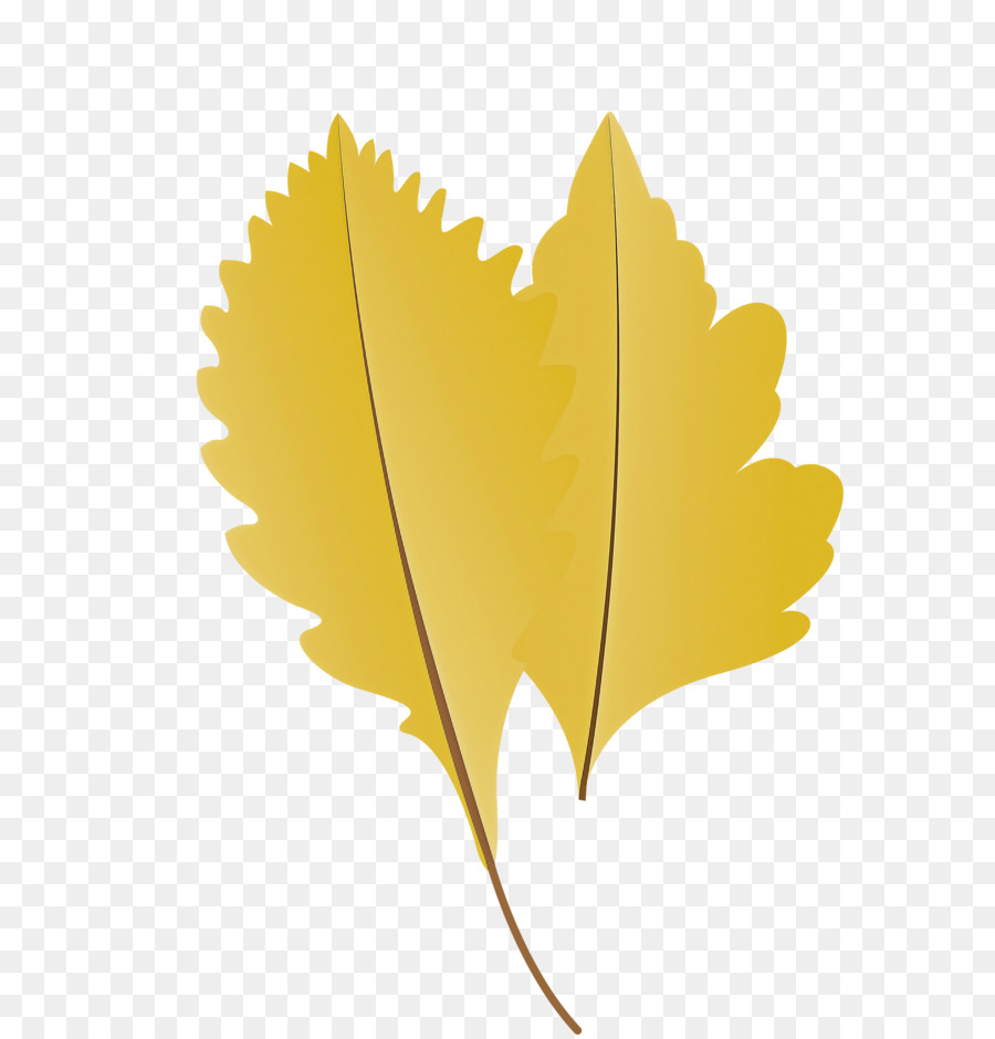 Feuille，Automne PNG