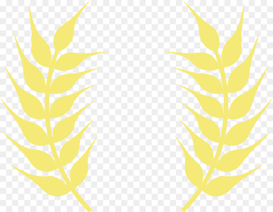 Herbes，Mathématiques PNG