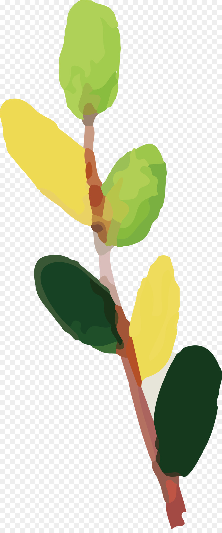 Tige De La Plante，Feuille PNG