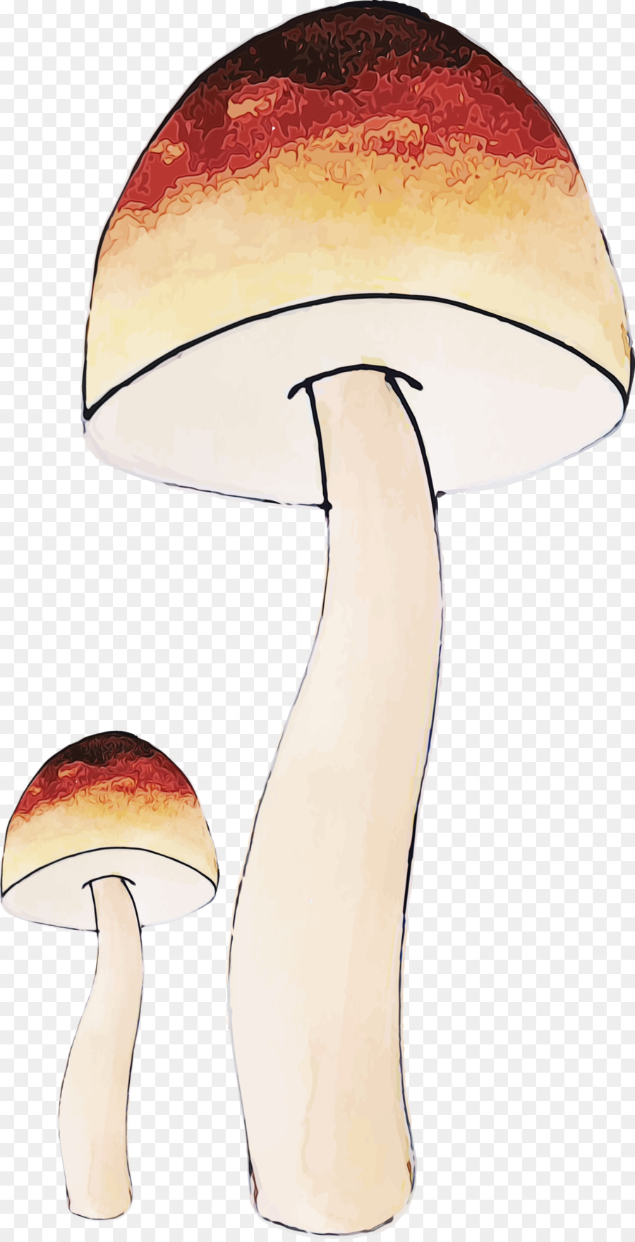 Champignons，Lampe PNG