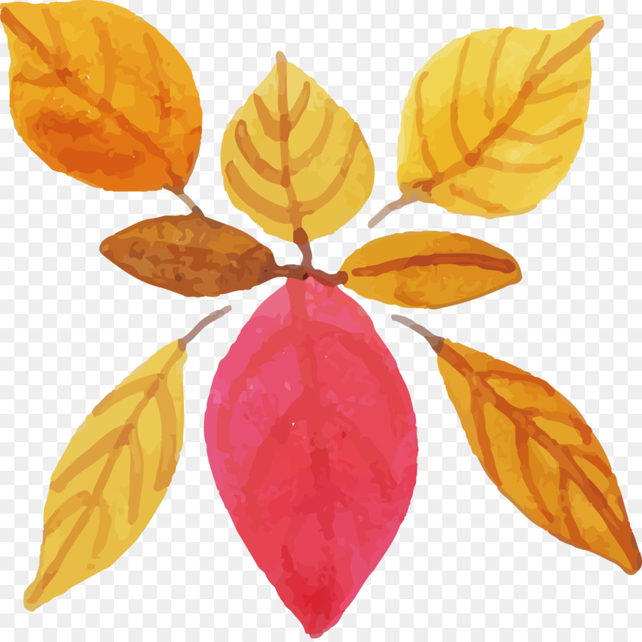 Feuille，Fruits PNG