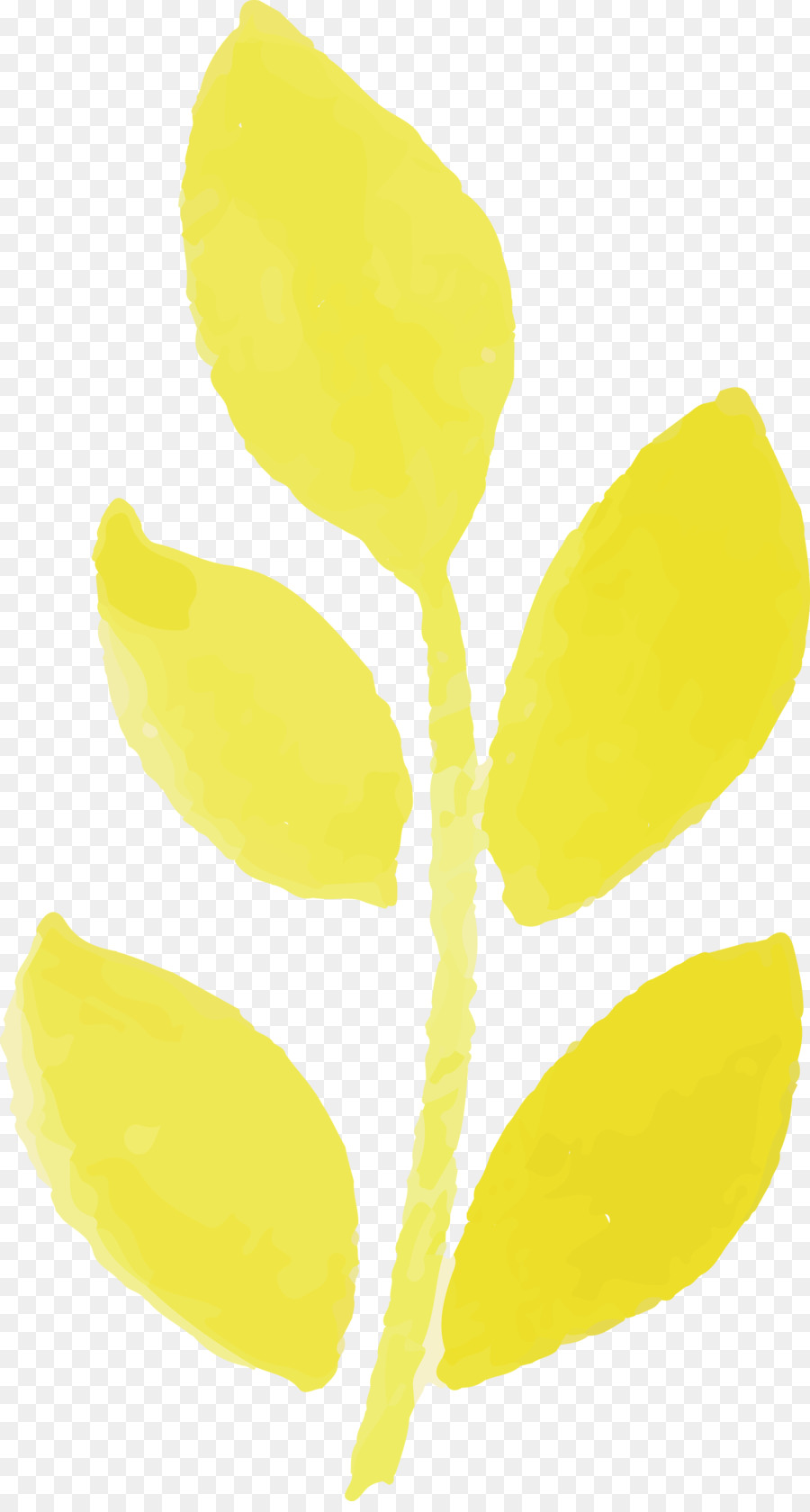 Tige De La Plante，Feuille PNG