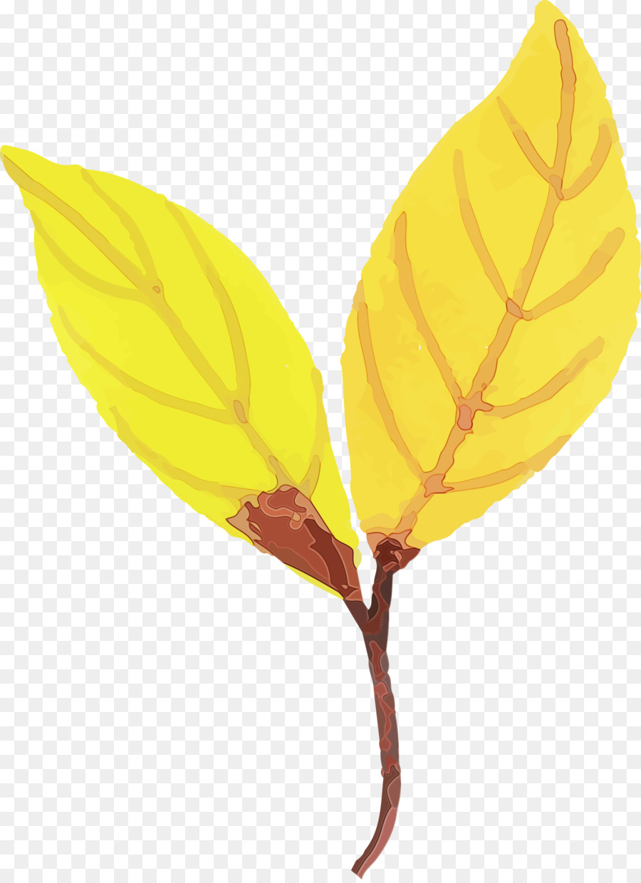 Feuille Jaune，Bifurquer PNG