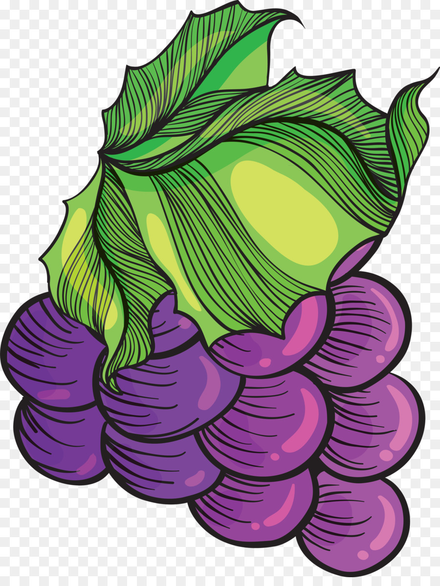 Tige De La Plante，Feuille PNG