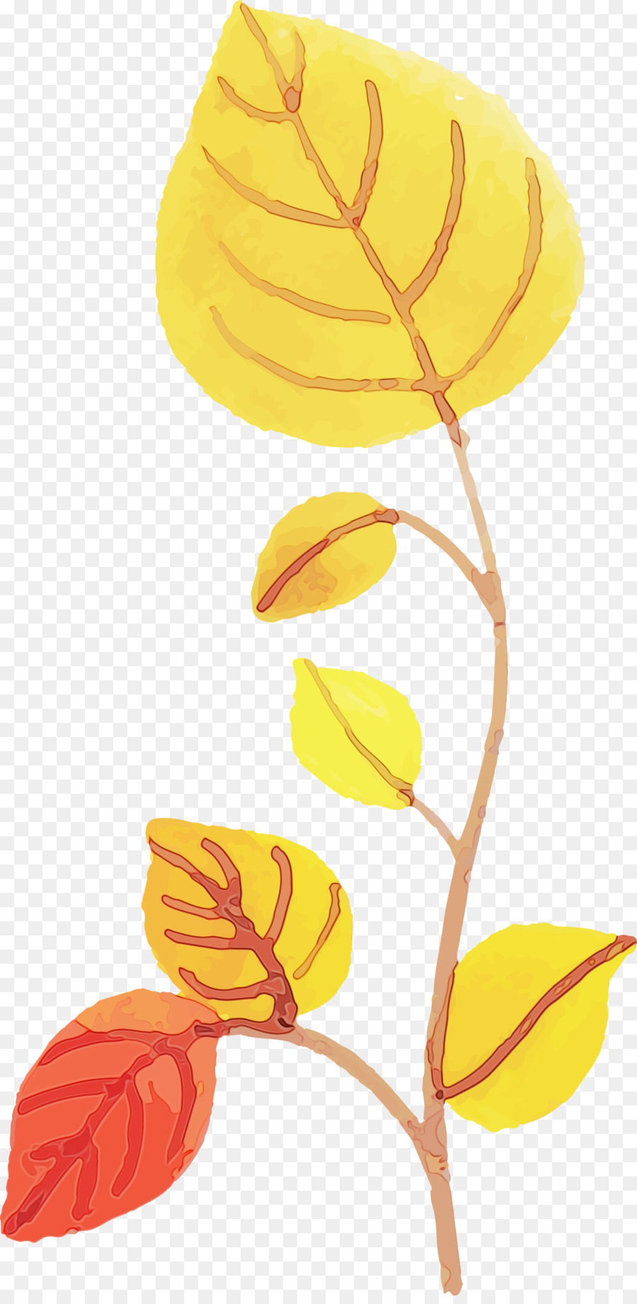 Feuille Jaune，Bifurquer PNG