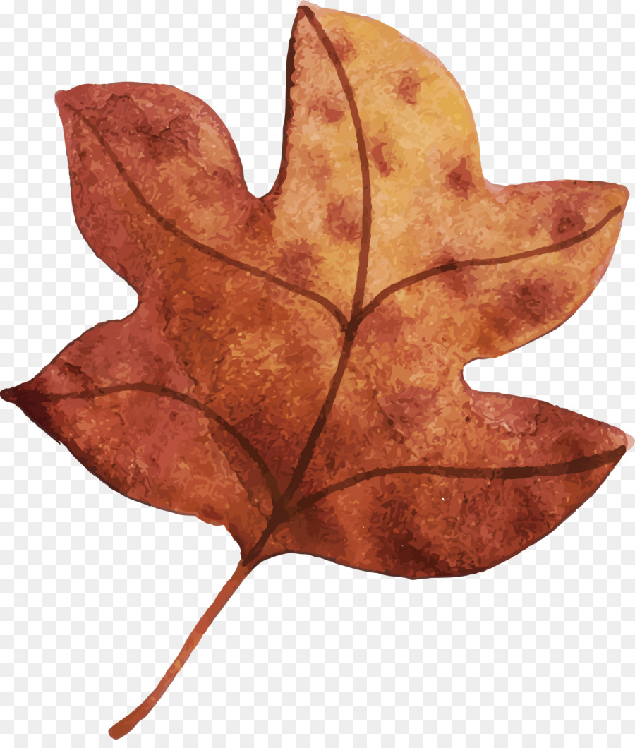 Feuilles D'automne，Automne PNG