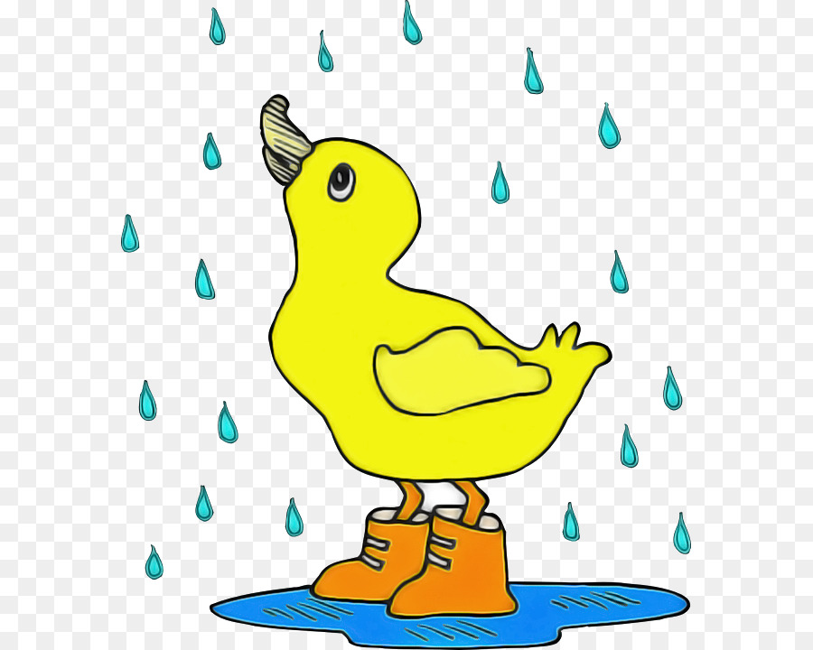 Canard，Pluie PNG