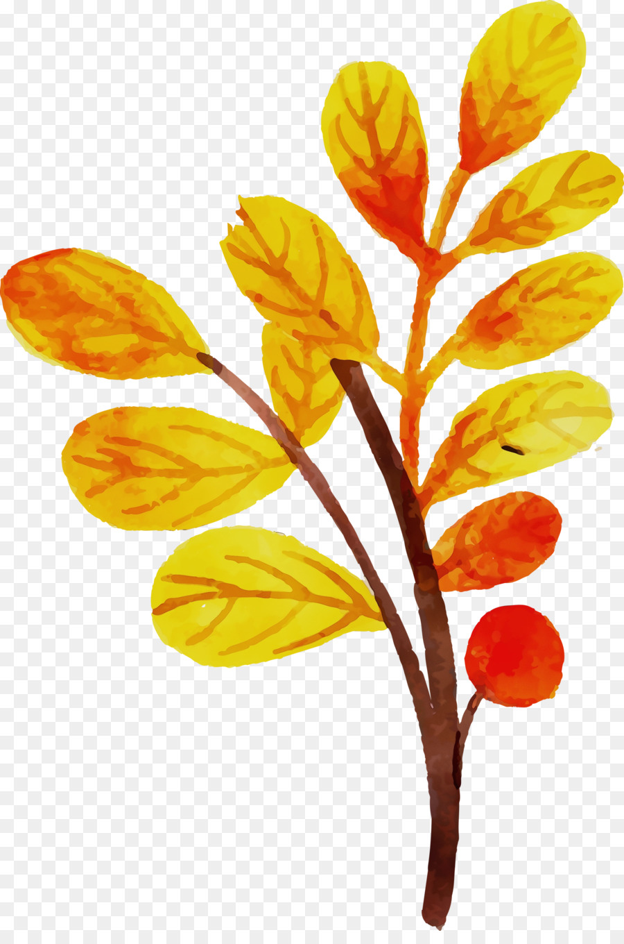 Feuille Jaune，Bifurquer PNG