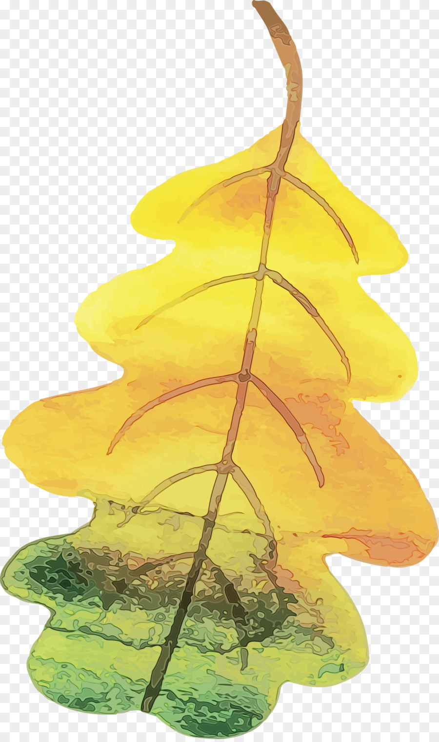 Feuille，Arbre PNG