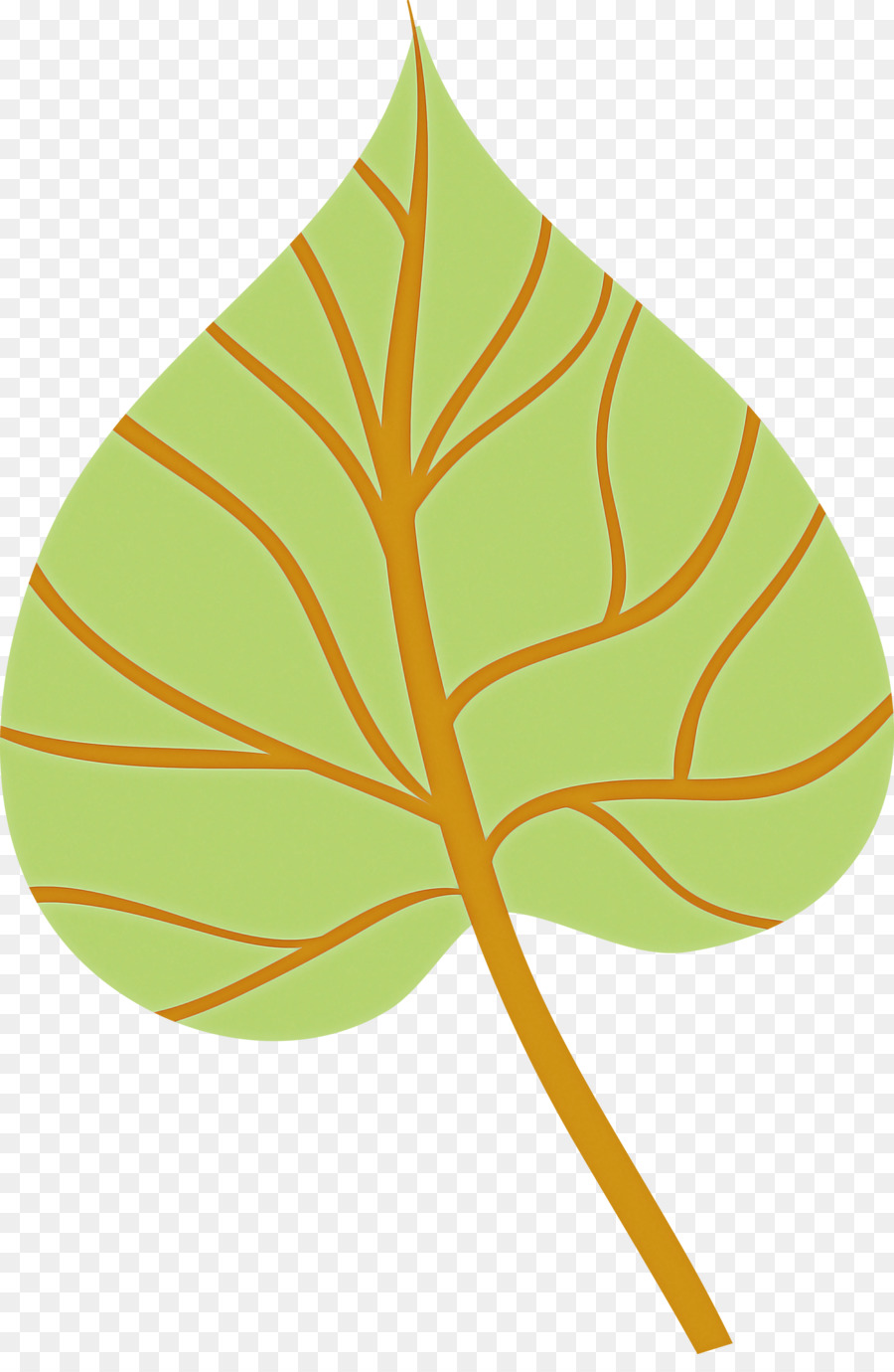 Feuille，Bifurquer PNG