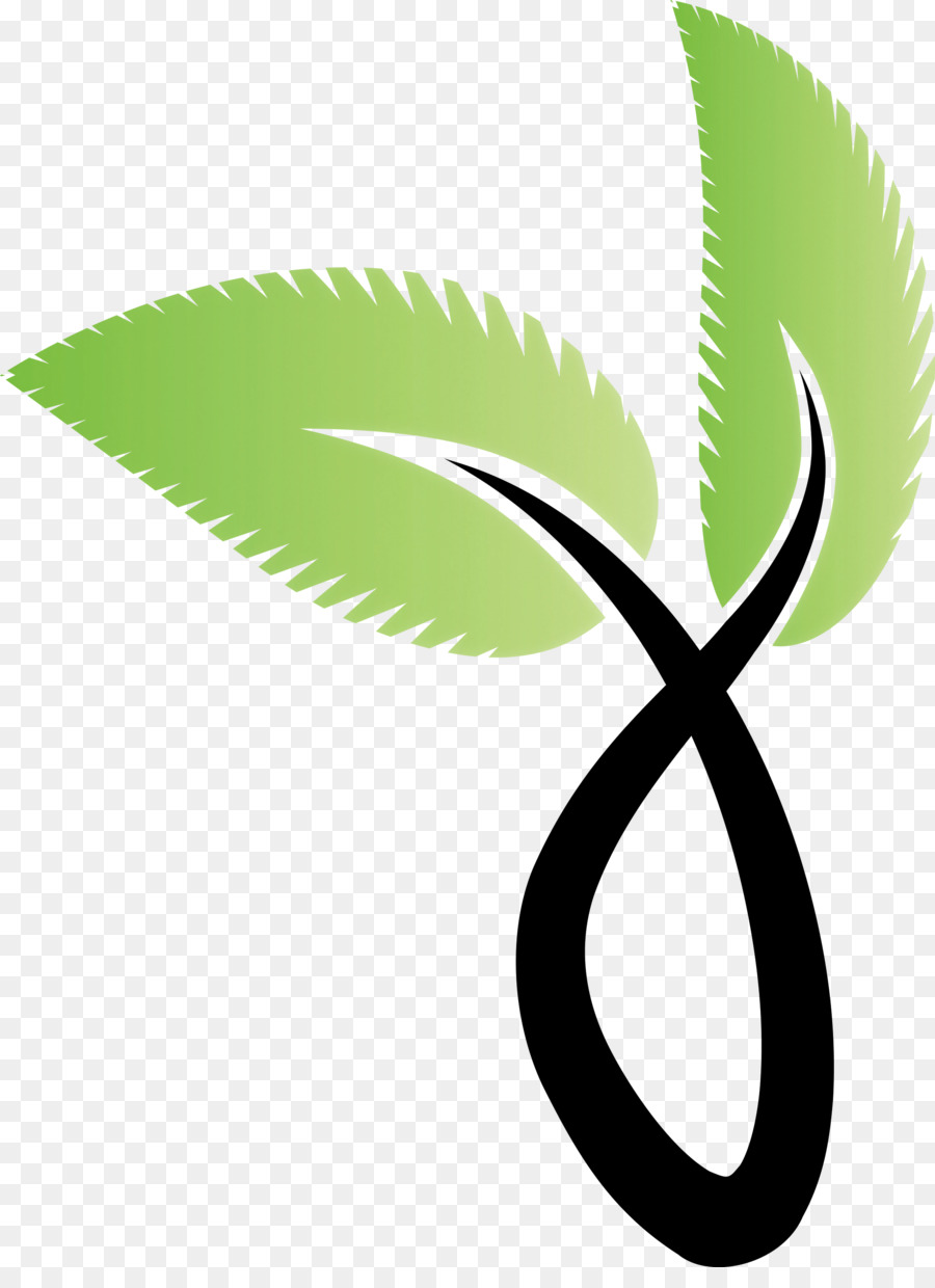 Tige De La Plante，Feuille PNG