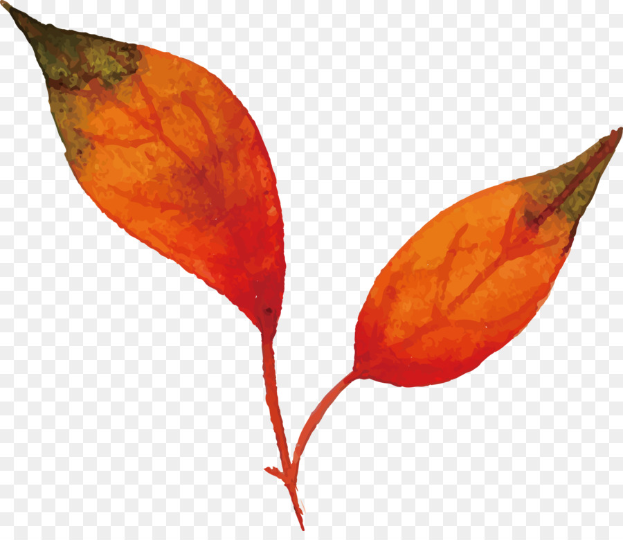 Feuille D'automne，Automne PNG