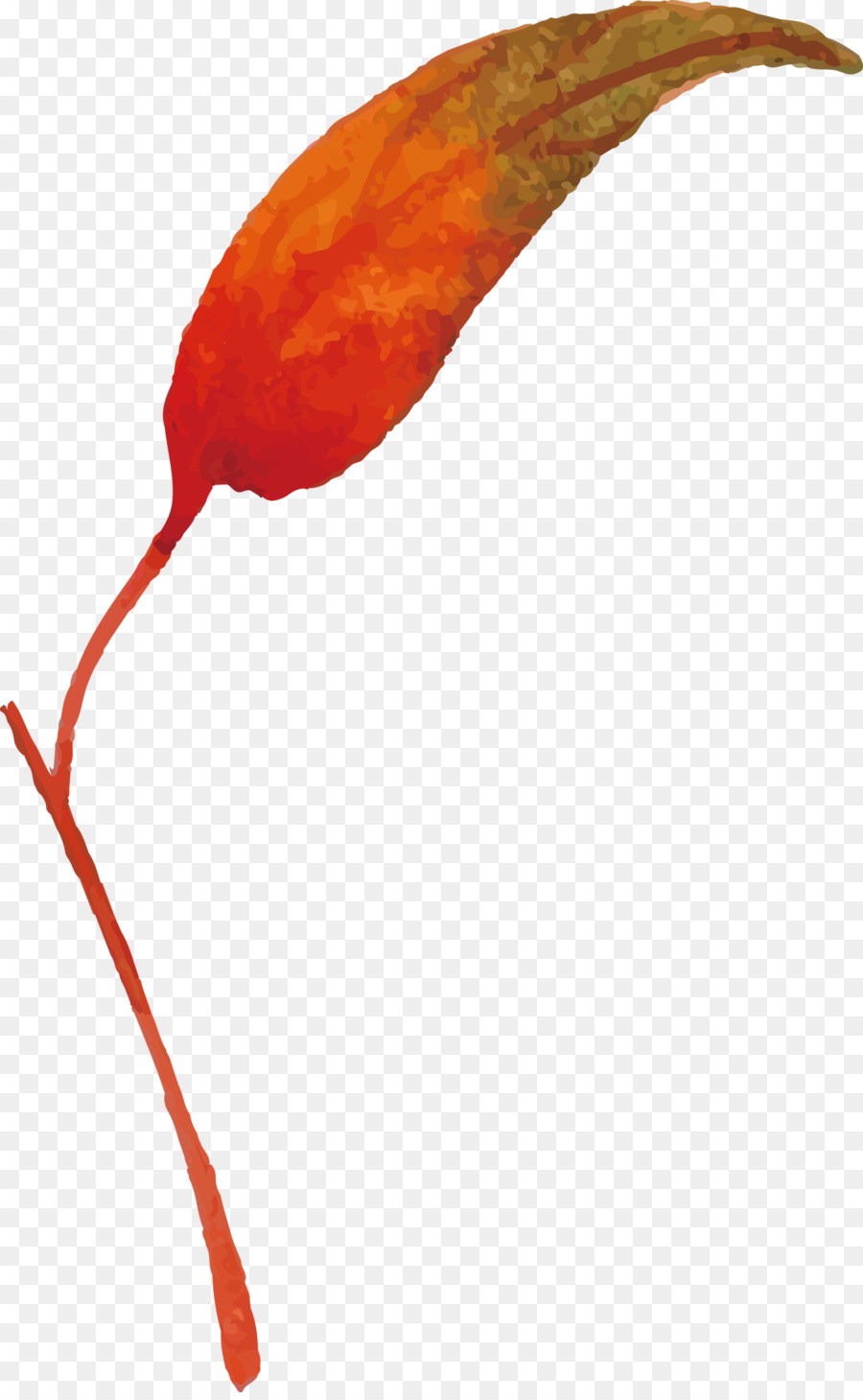 Feuille D'automne，Automne PNG