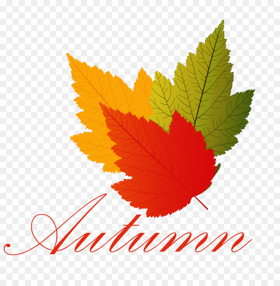 Feuilles D'automne，Automne PNG