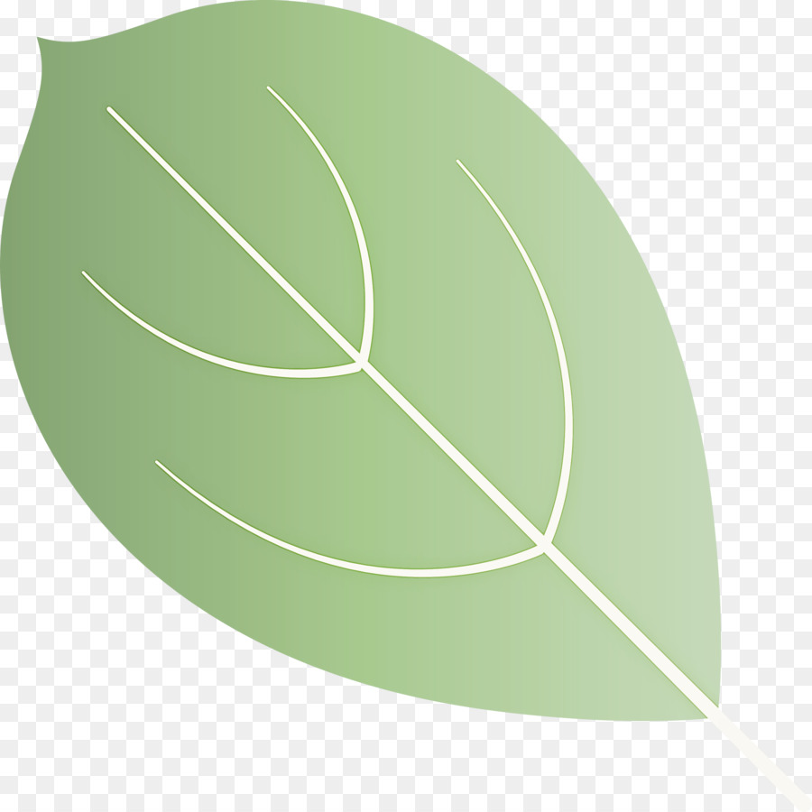 Feuilles Vertes，Usine PNG