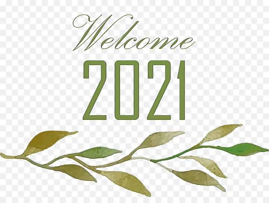 Bonjour 2021，Nouvelle Année PNG