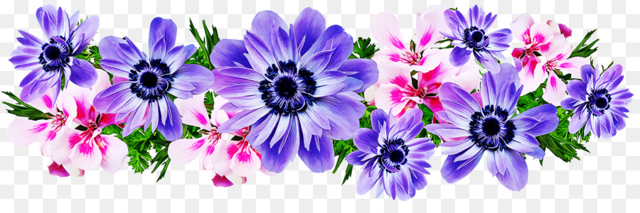 Fleurs Violettes，Fleurs PNG