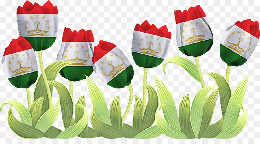 Fleur，Tulip PNG