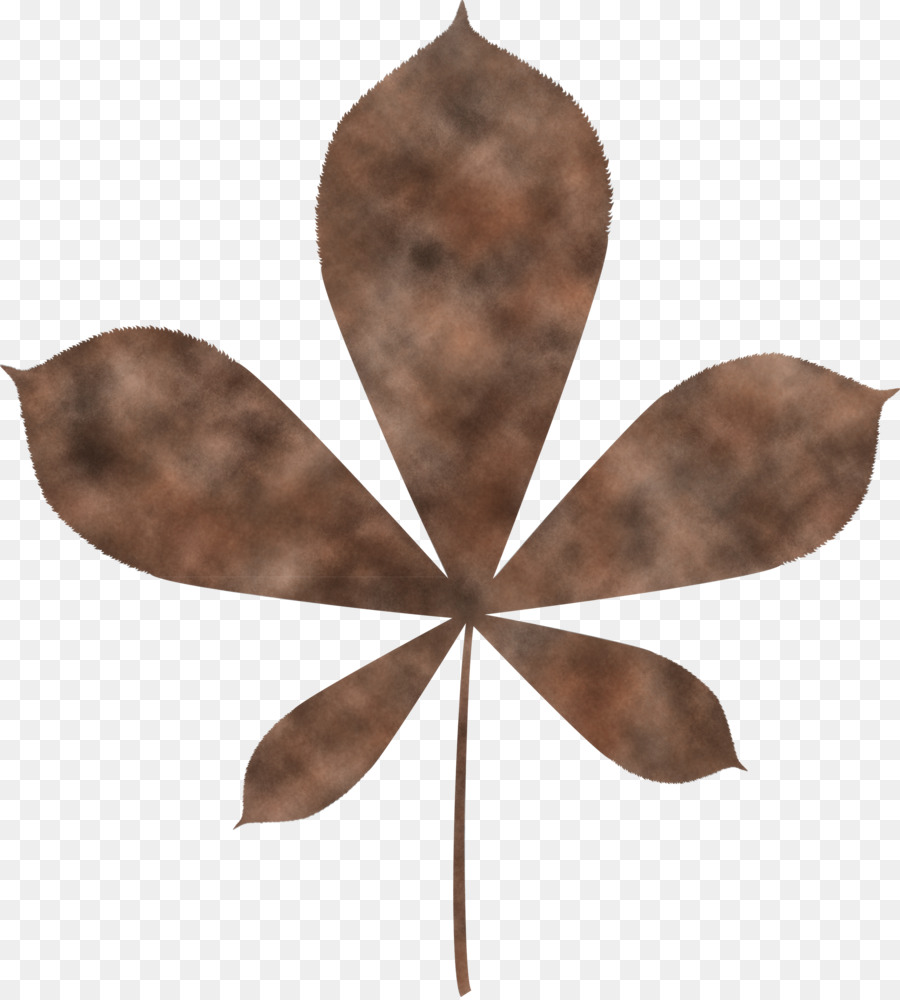 Feuille，Automne PNG