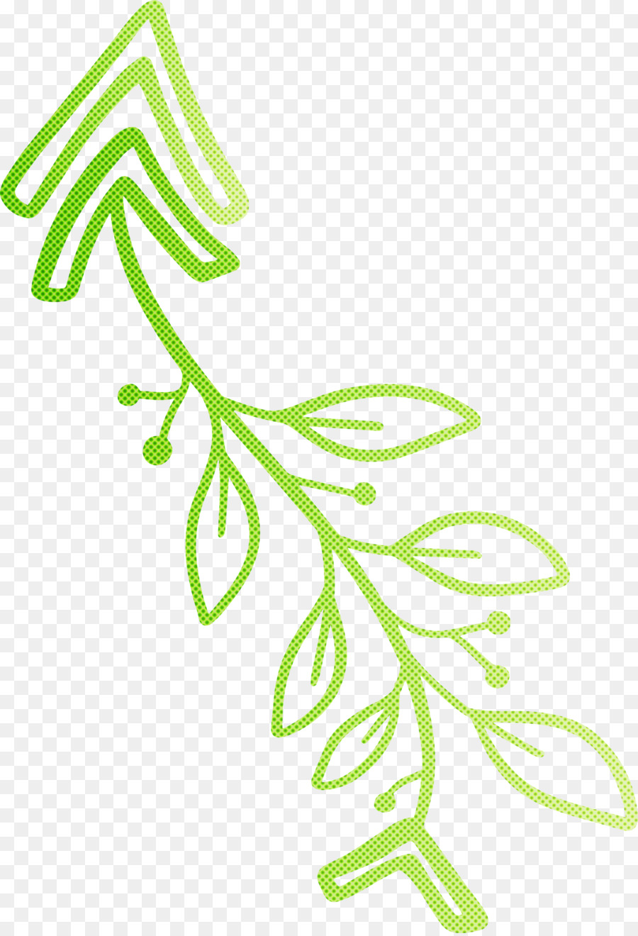 Branche Verte，Feuilles PNG