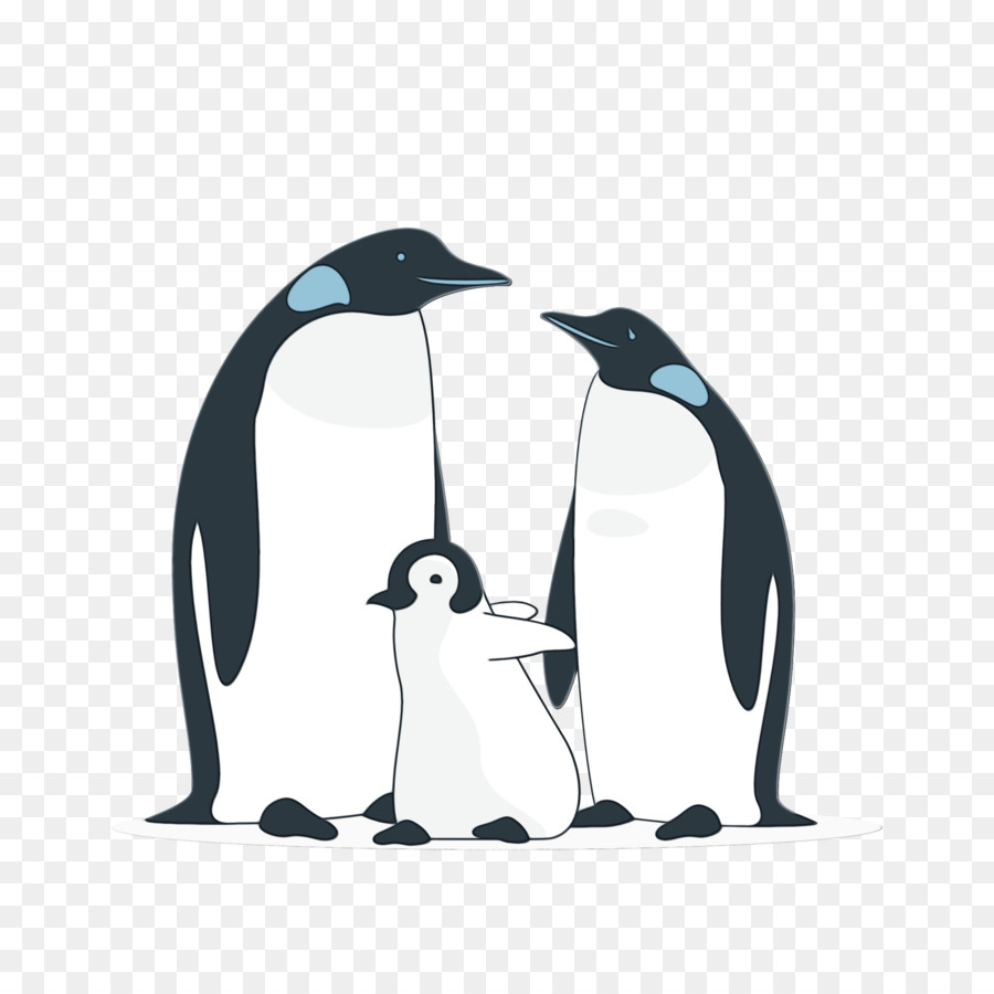 Les Pingouins，King Pingouin PNG