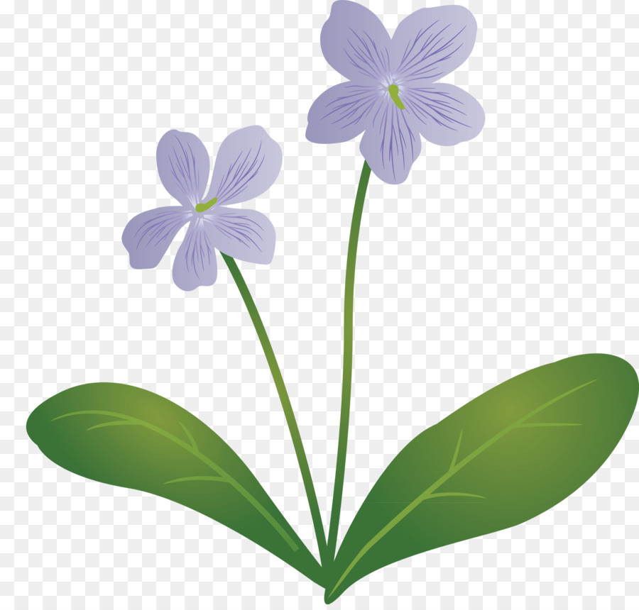 Fleurs Violettes，Feuilles PNG