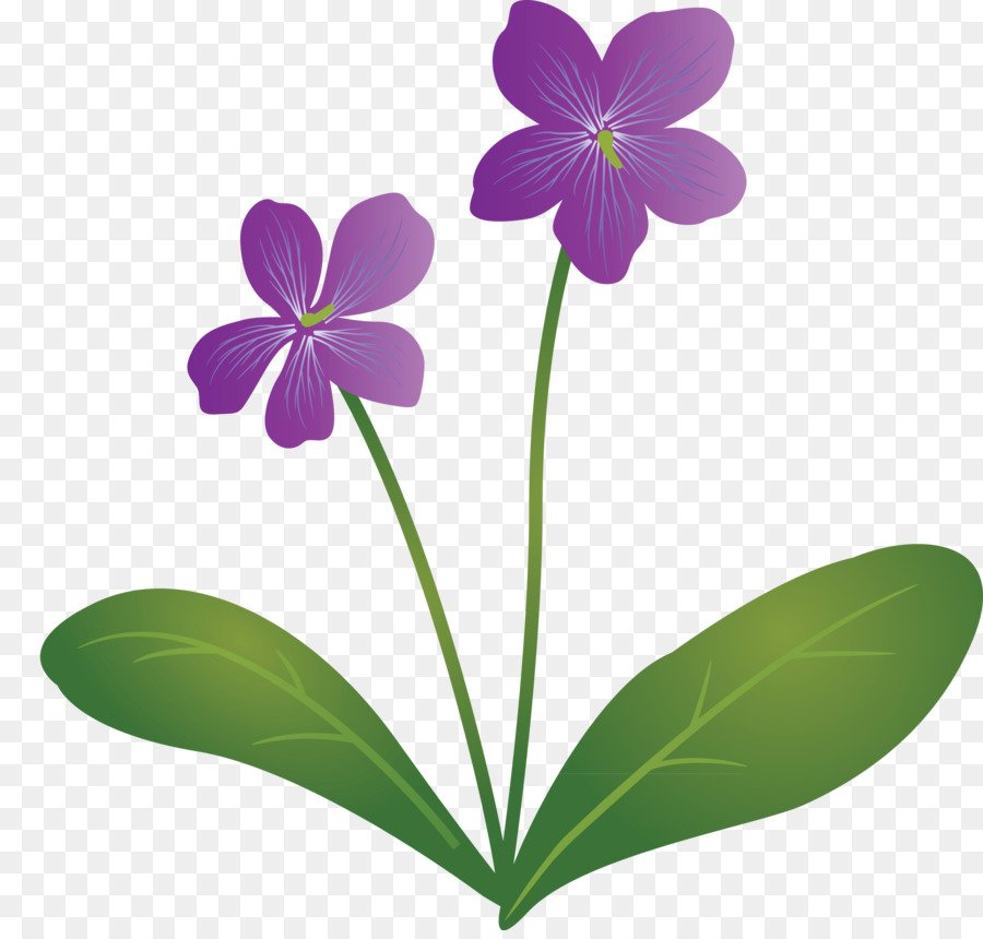 Fleurs Violettes，Feuilles PNG