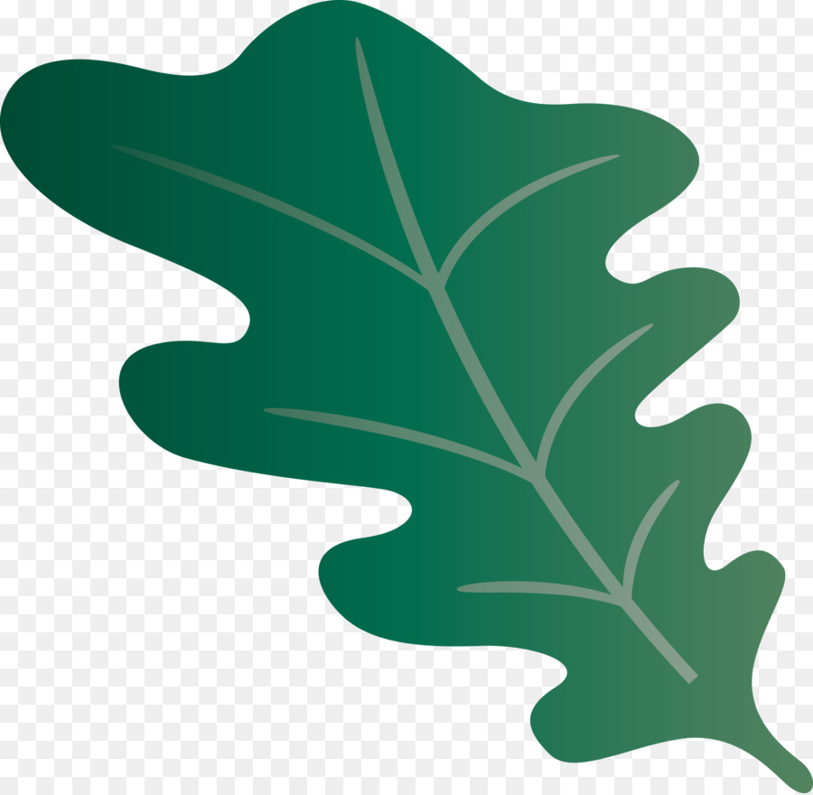 Feuille，Arbre PNG