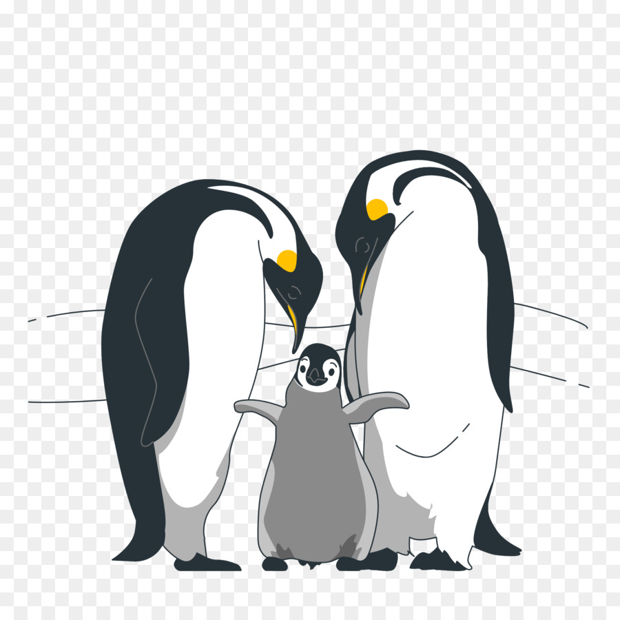 King Pingouin，Les Oiseaux PNG